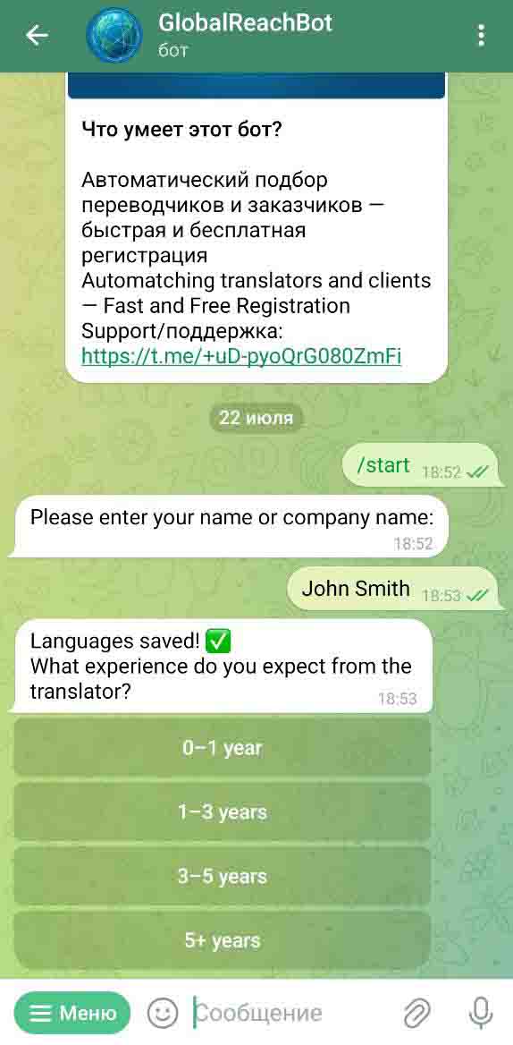 Matching Bot Screenshot with experience section